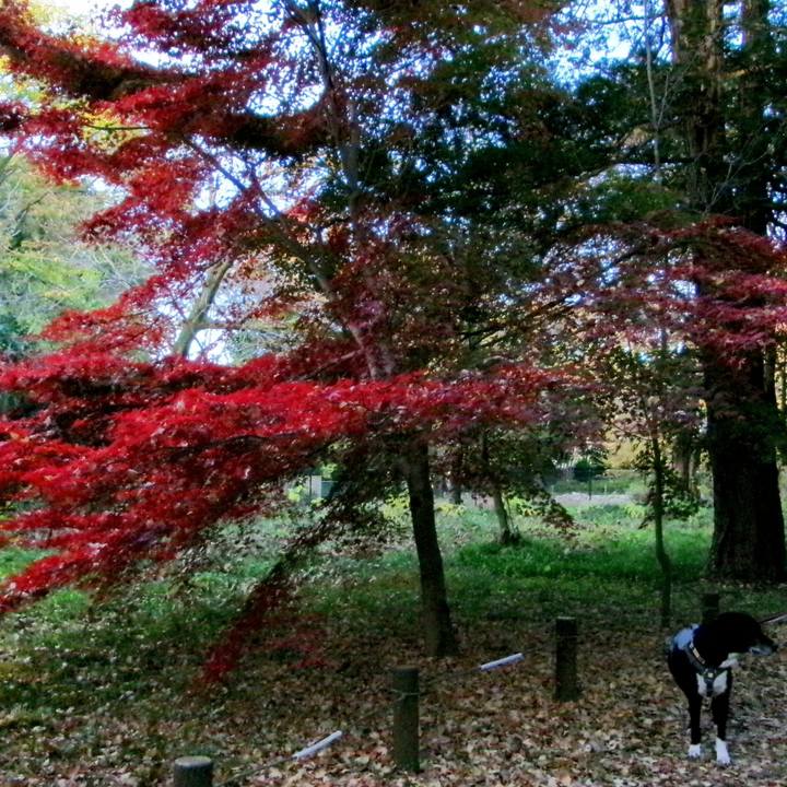 872b74f9 40db 4972 8fad 43276d88981a 1733443885284