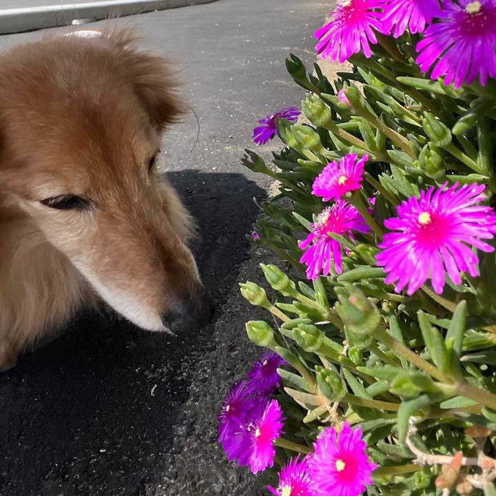 872b7b6c 5e5e 4aa5 88b6 b7cdff28cc1f 1683638414645