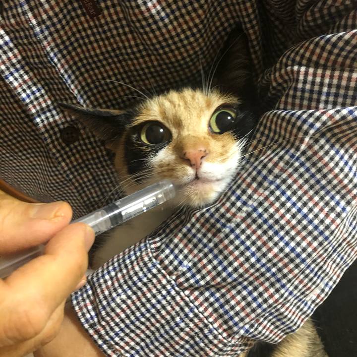 872bc509 5fe8 4624 bb74 62dab0ccae59 1584149895531