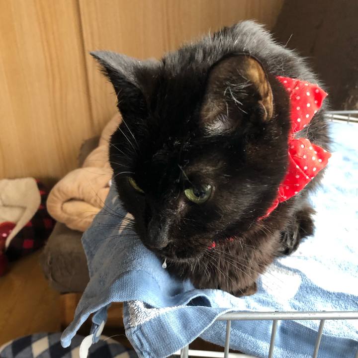 872bc92f 3699 452d ab4b 1752fb9f1715 1555656488895