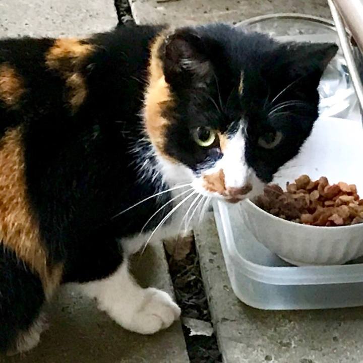 872bdd20 0eec 44c3 b85d adaa5e64e7b1 1507692372587