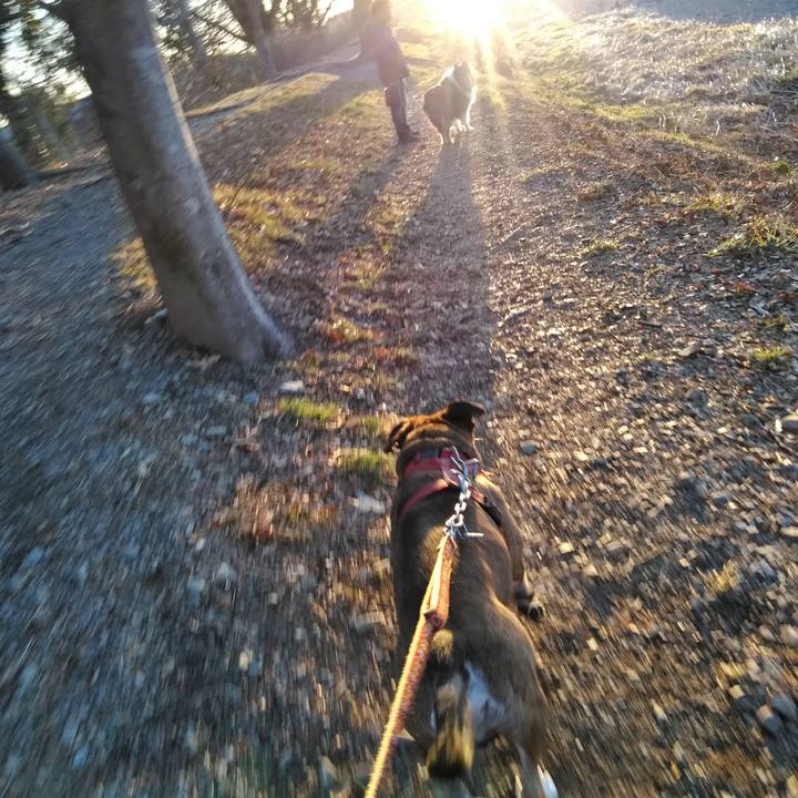 872bf5a7 112f 4d21 ba6c b3bbce65d09b 1520005133785