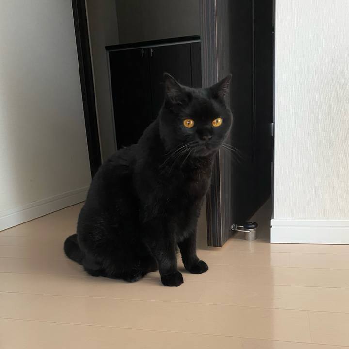 872bf8b6 77b9 48a9 adf4 3877a4f06607 1625447408154