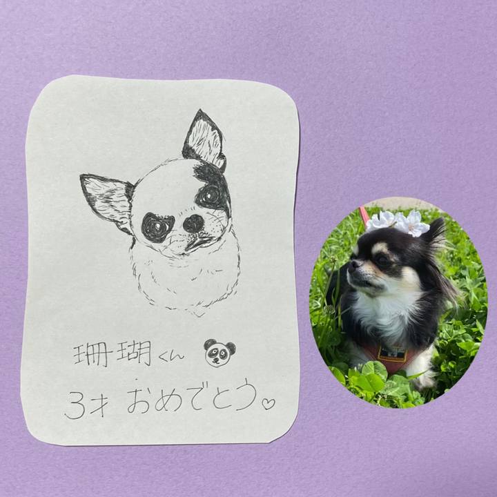 872c0b0d 539f 45b8 8ea0 827ea3eba781 1618744389820