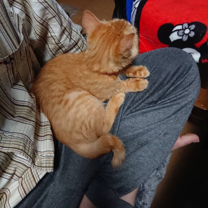 872c1ef6 48e7 4166 8f3b 92da75831d6e 1632430608428