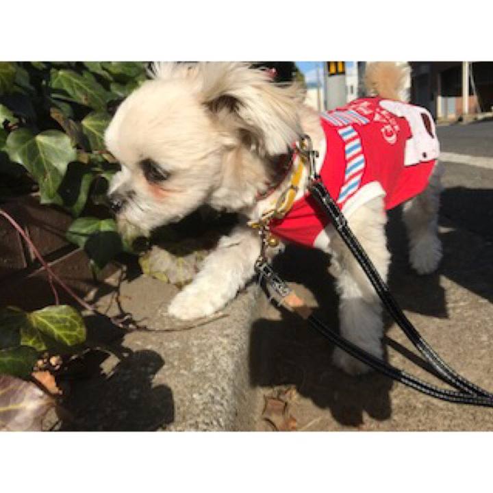 872c21cc d600 4c01 bb9d 45c604a9db7e 1518525167349