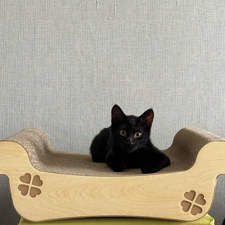 872c3bfa ff73 4ff6 a123 2669489e7e54 1724392520942