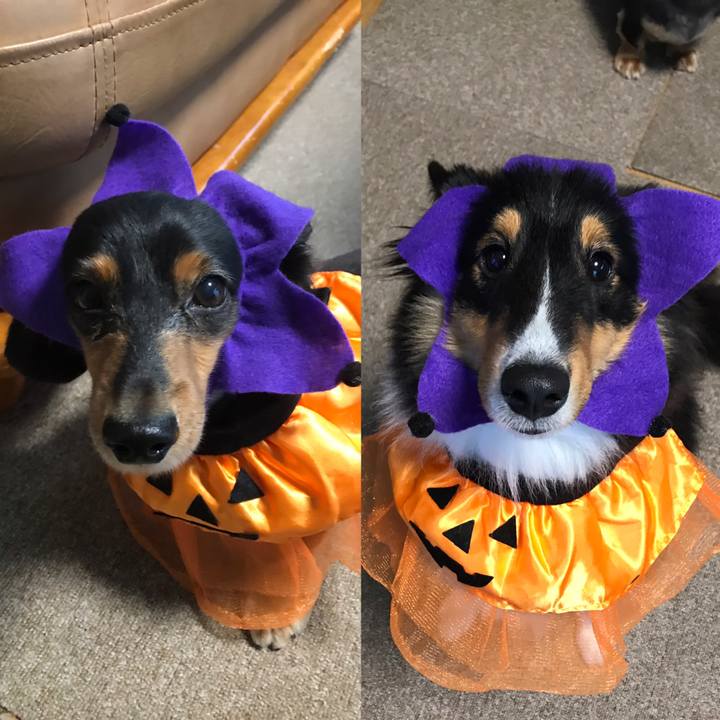 872c79ab 18ac 4eba a02a b3453b6c5f04 1540936602768