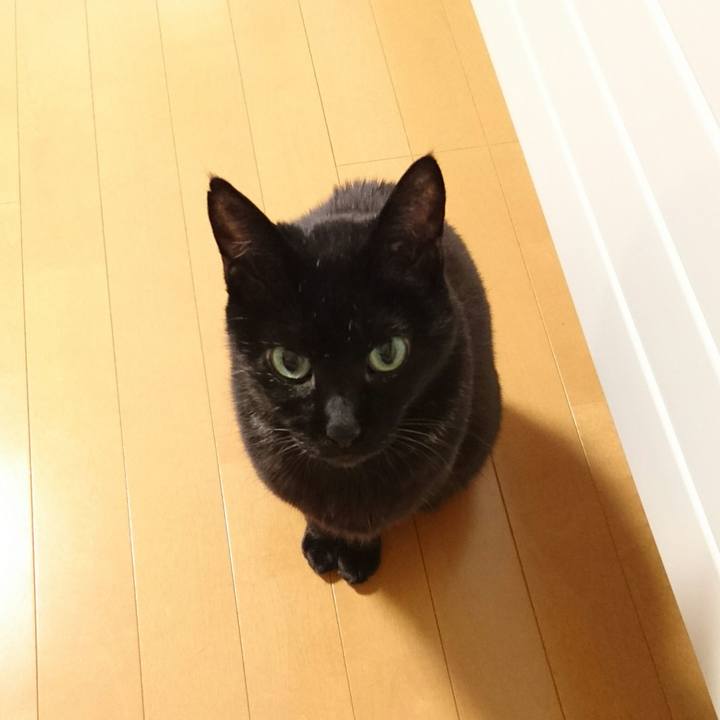 872cbcd7 8880 43cb bca8 c796266b261a 1513244883401