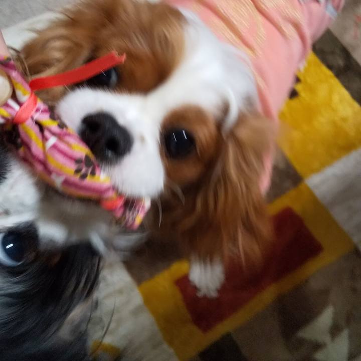 872cc589 1644 4b73 ad1b a3179fafe110 1579272741638