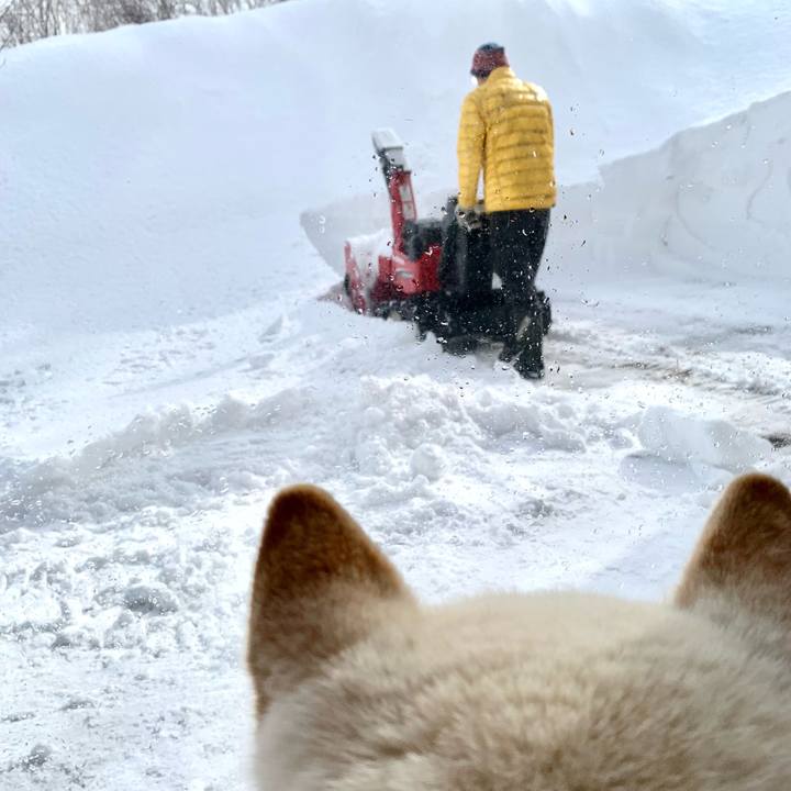 872d3b8a 08a0 43d5 b84f 4f332c84b1a6 1645676449313