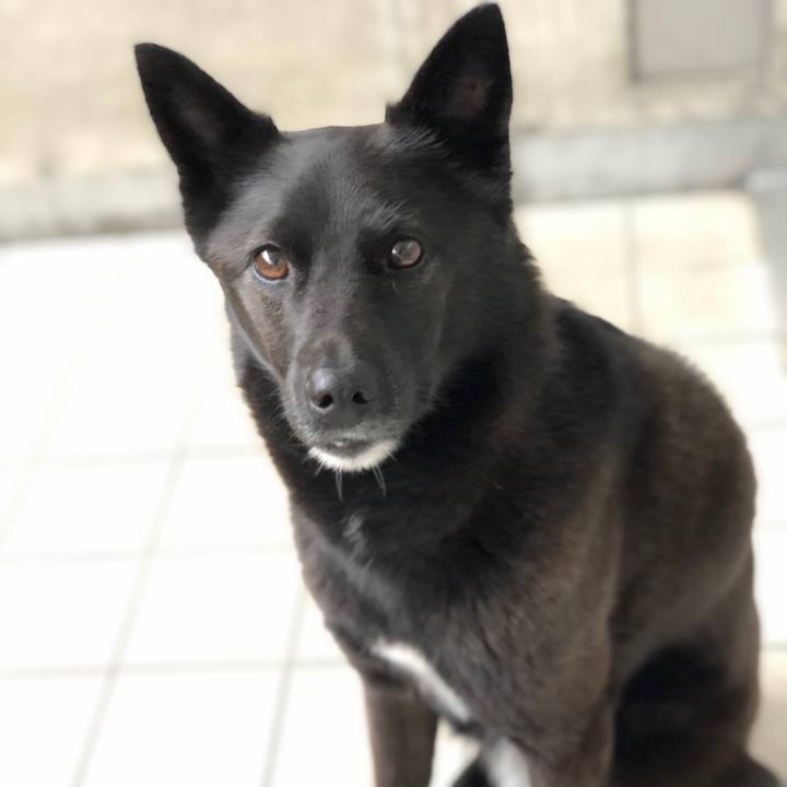 872d52c2 176f 4714 8c7e 449cc6b0895a 1627784084902