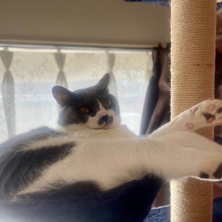 872d543c fbf0 41b4 a1d4 9606c851ec21 1637371320912