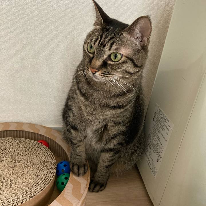 872d5b80 8dac 4469 8eb1 63f92e0f0a8d 1600909517744