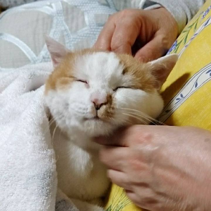 872d6601 e19c 4cfe ba05 a6cadab1e4e9 1525518249089