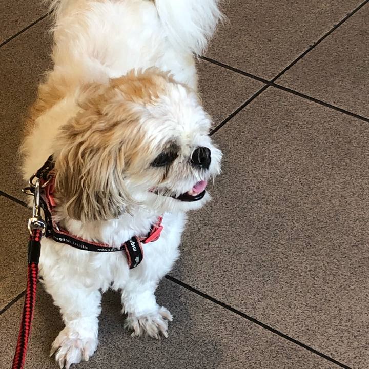 872d8fd7 9ad2 4246 94f2 5802c42006dd 1628113659683