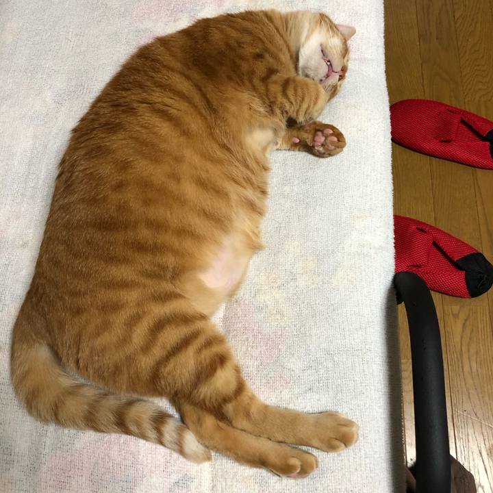 872dd9ec 62c1 4a85 ad8e ded7e1dcb23a 1613841396808