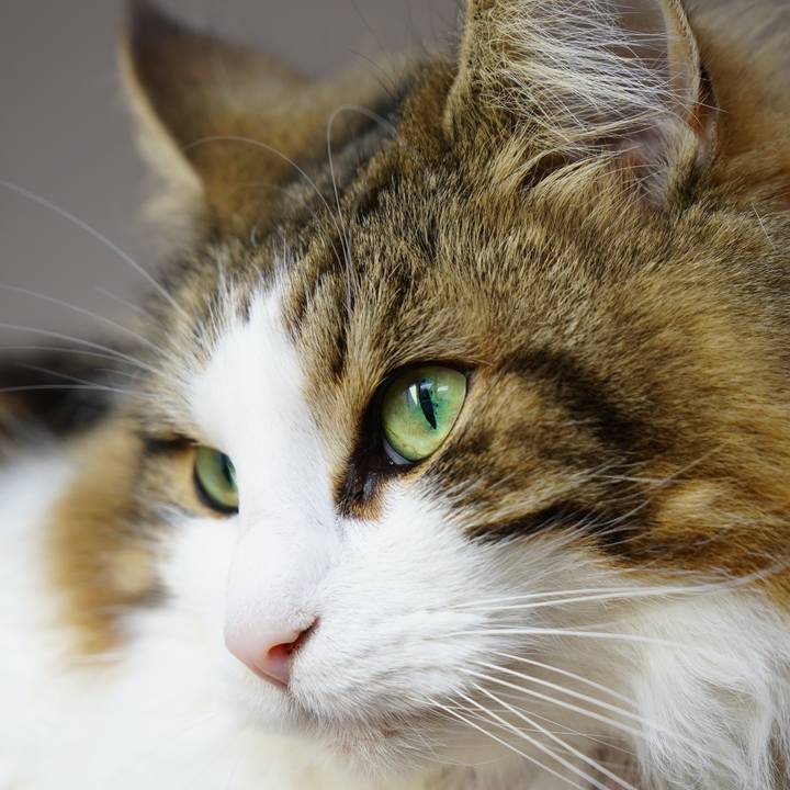 872dffe8 f191 4bcb 8c4c 821245de97e1 1644675202096