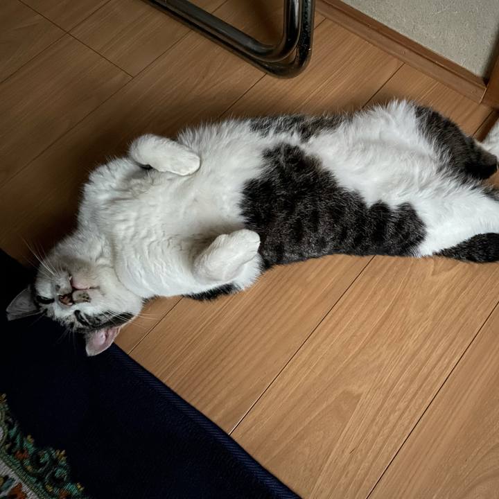 872e1add 37d6 40ed bb75 9367fc630c00 1629372199574