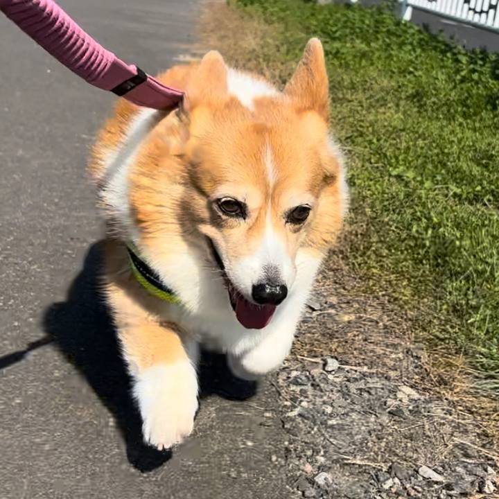 872e338b 9a1a 4fb5 8fa2 549284f858e5 1761791320540