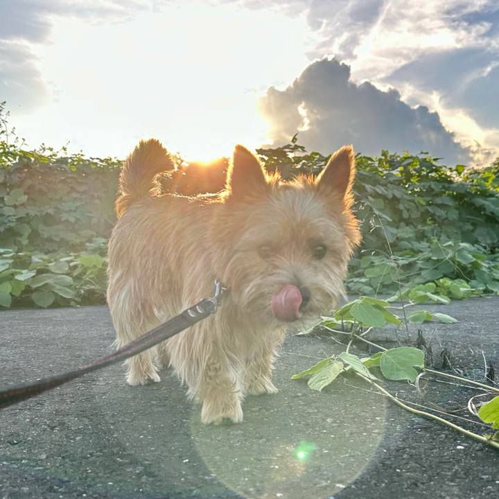 872e394b 1ae3 4da0 abaa 2fb7c12b851e 1759435394801