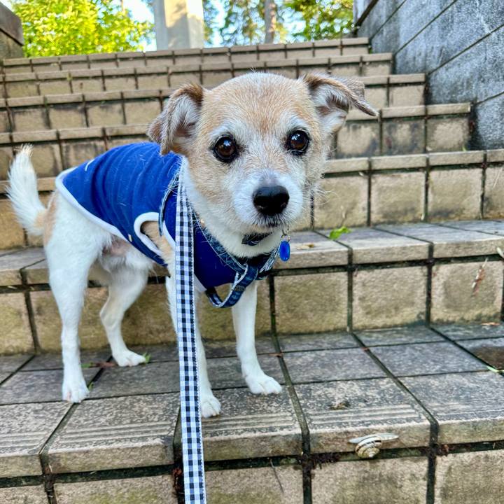 872e90bd 7a3f 44a4 b797 f4ad4584760a 1685785534352