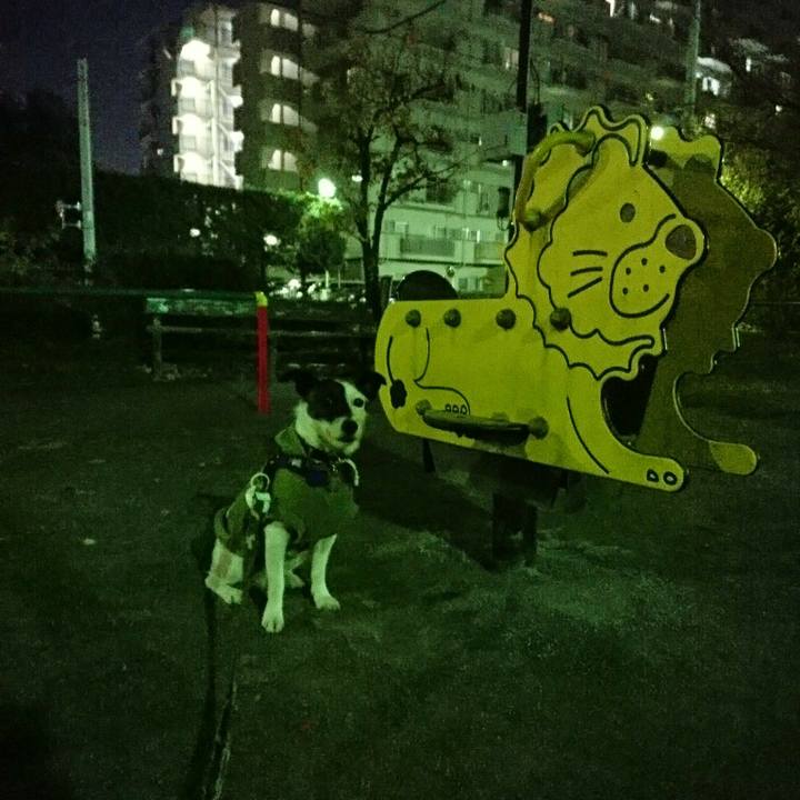 872ea833 5ab9 4762 a4c4 543200b4bc12 1511092186661