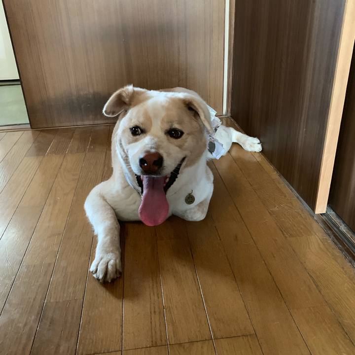 872ece25 0fcd 45ec 938e 763e3a6f474d 1568157166747