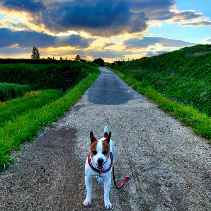 872ef91e 5d75 4314 81bf 6ea477d3af84 1587645184891