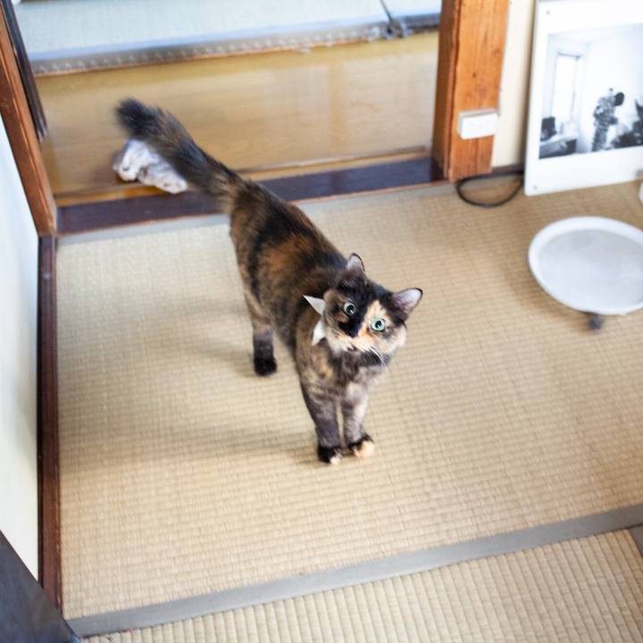 872f1acb 0c28 4668 a734 daba24945de7 1573440735847