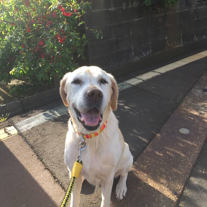 872f3d1e 5d15 4263 9b2e a962c7e0e3c5 1592883115294