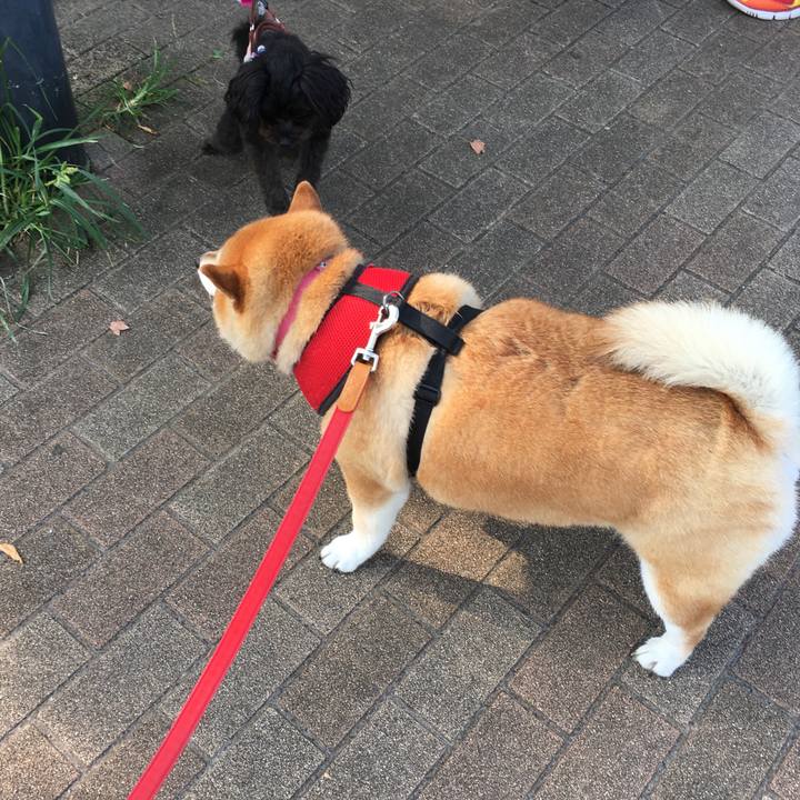 872f84f7 f665 4f4c 97c8 a607a801bb30 1596498412473