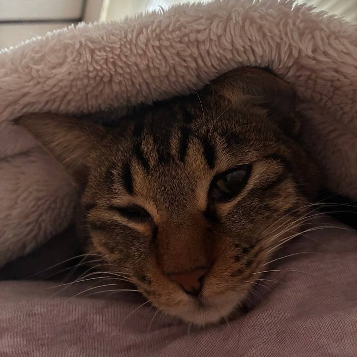 872f89c4 caf7 4313 8a02 f56ca58a6cf0 1769298515686