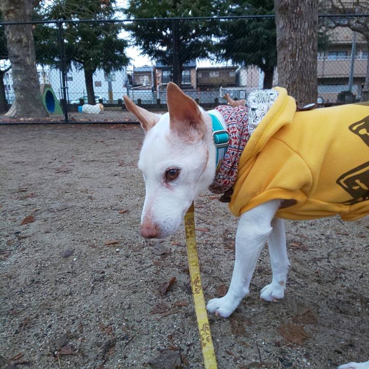 872fa70c 037f 49ae ac1b 2ce4975e24a9 1549922050755