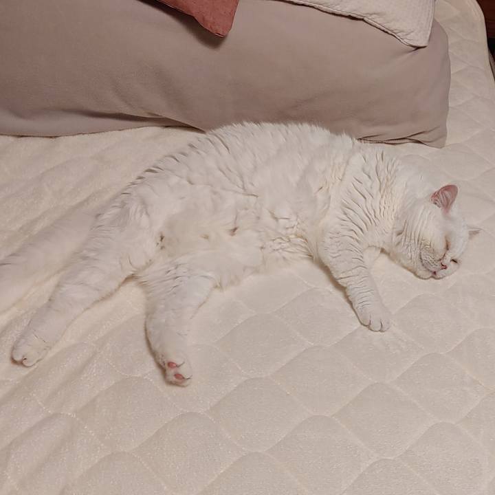 872fb132 4aab 4da7 9e80 da094b322995 1640524018680