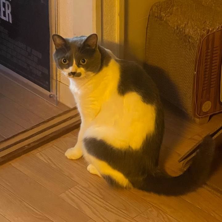 872fb8e7 47ab 4fb0 94c1 7b62cc885b24 1754950657304