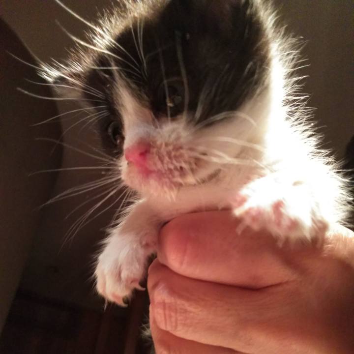 872fc51f 94e7 4d32 99eb 439786a8815a 1570804224823