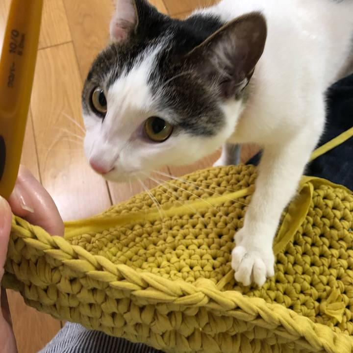 872fd9c3 1abb 418d 90c0 1b4685f691ef 1587899448803