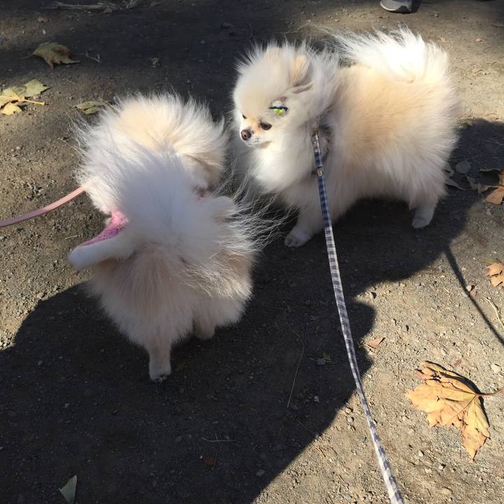 87300a76 7fa5 4e88 87d2 0c966103a6fe 1606545748102