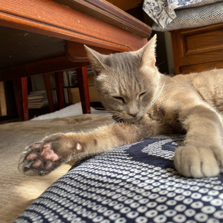 87302c2a 8009 4a2c a683 517a19bf5242 1583202759765