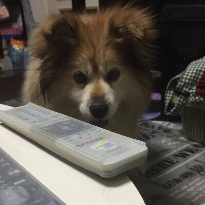 87303a64 c723 429b 8cc6 101378469036 1634805606934