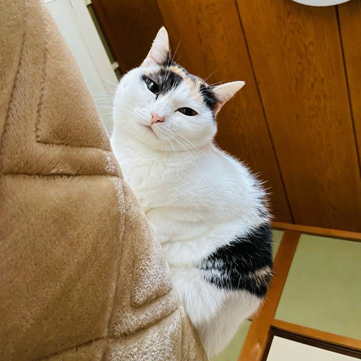 87309d9e 8099 4d38 8f23 769d2c16dab7 1642560970673