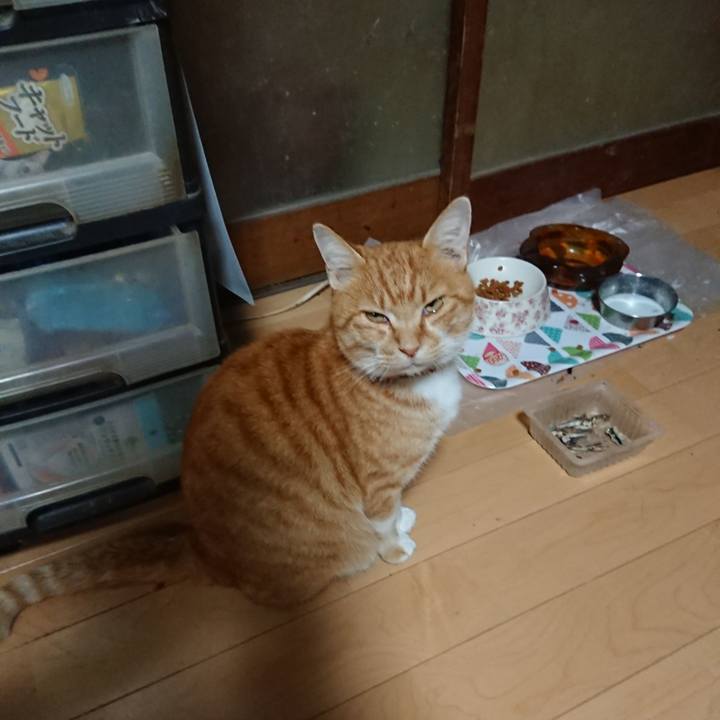 8730b4ce 308d 464f 981c cad836d2d9ee 1604480609889