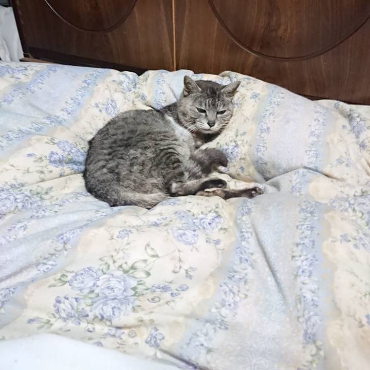 8730da07 3f78 447c a58c f1c420a1e697 1590753581192