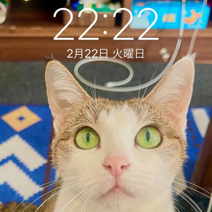 8730e8a0 5abe 4038 9b7a d854a9a60a94 1645611833851