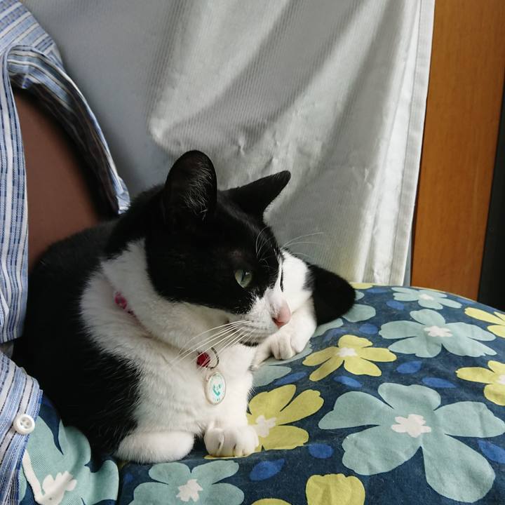 8730fff3 576e 462f 9e69 f48b49caa160 1622326592113