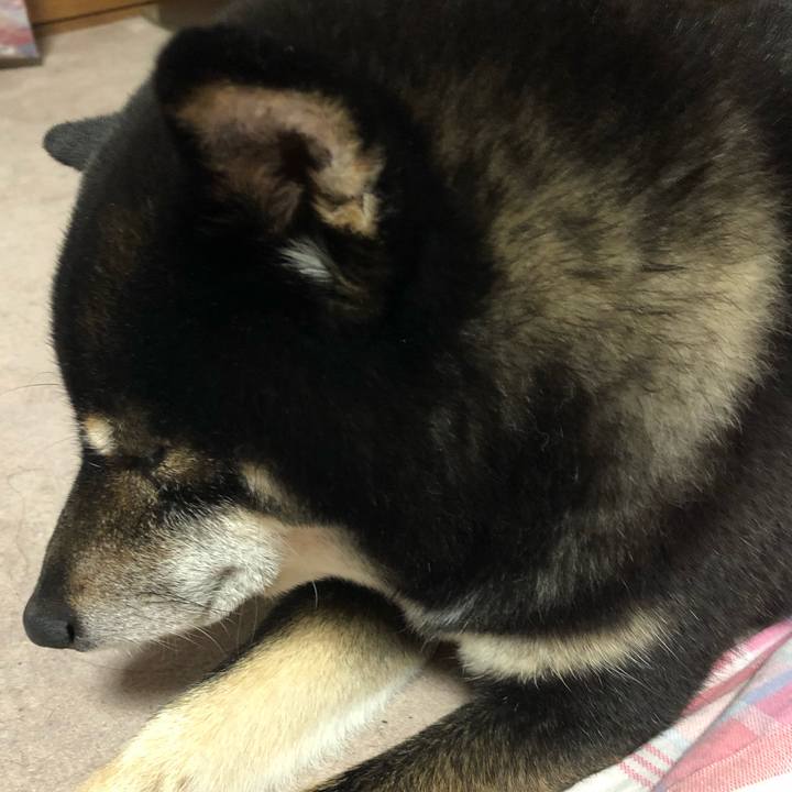 873101dd 8d54 4f38 8605 d2d63b3f249f 1578824190798