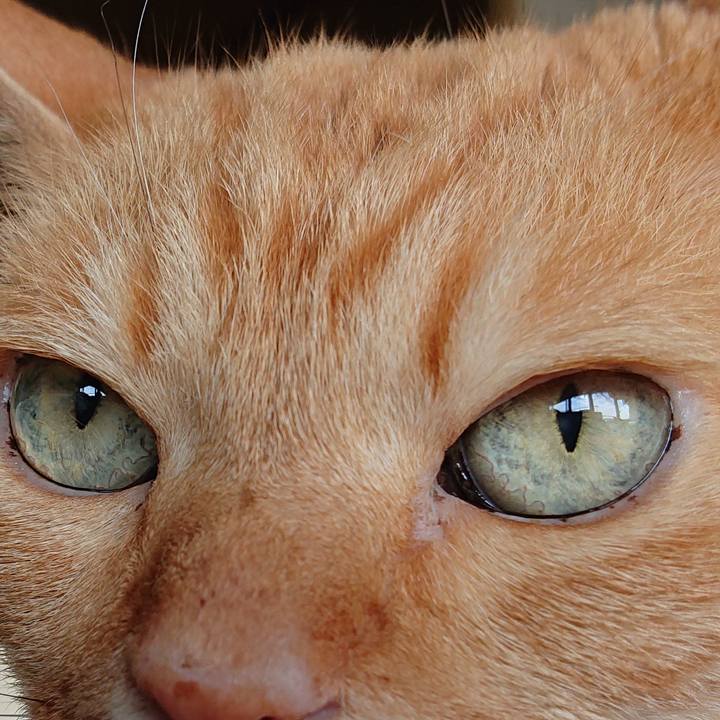 873126e6 2c4f 43c5 84ac d7851c139019 1627013286918