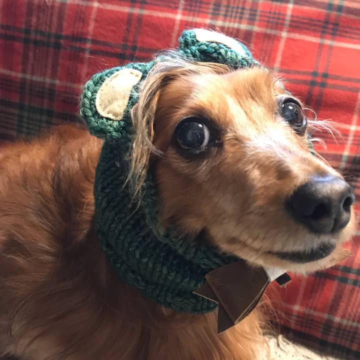 87312781 7a92 4692 a842 d88c6c2103e7 1577704616377