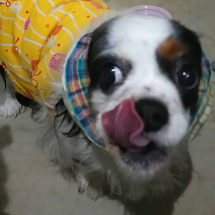 8731281c 416e 49d4 8a1b d252ea8465bb 1548739239524